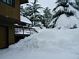 feb12snow13.jpg