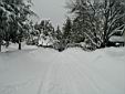 feb12snow4.jpg