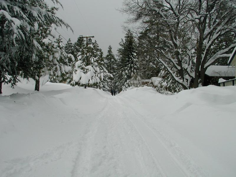 Wrightwood California Winter 2001