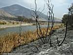 lostlakefire.JPG